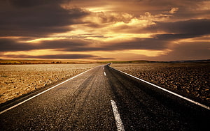 Empty Desert Highway Stretching Toward a Dramatic Golden Sunset Sky HD wallpaper
