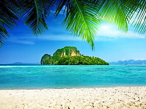 Tropical Island Beach with Turquoise Water and Lush Green Palm Fronds HD wallpaper