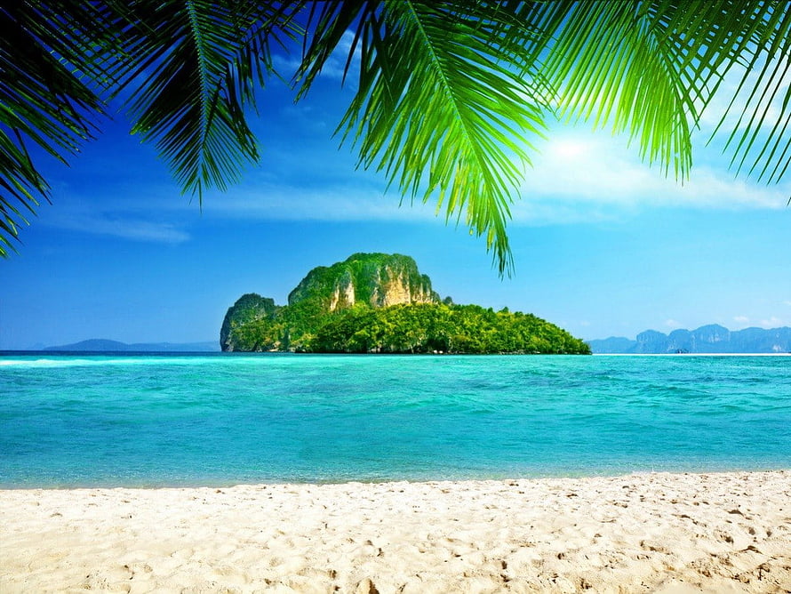 Tropical Island Beach with Turquoise Water and Lush Green Palm Fronds HD wallpaper
