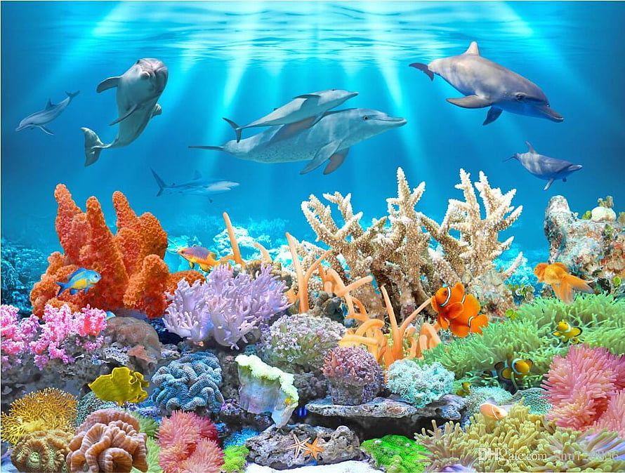 Vibrant Underwater Scene Featuring Swimming Dolphins and Colorful Coral Reef HD wallpaper
