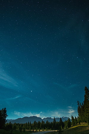 Starry Night Sky Over Mountain Range and Pine Forest Landscape HD phone wallpaper