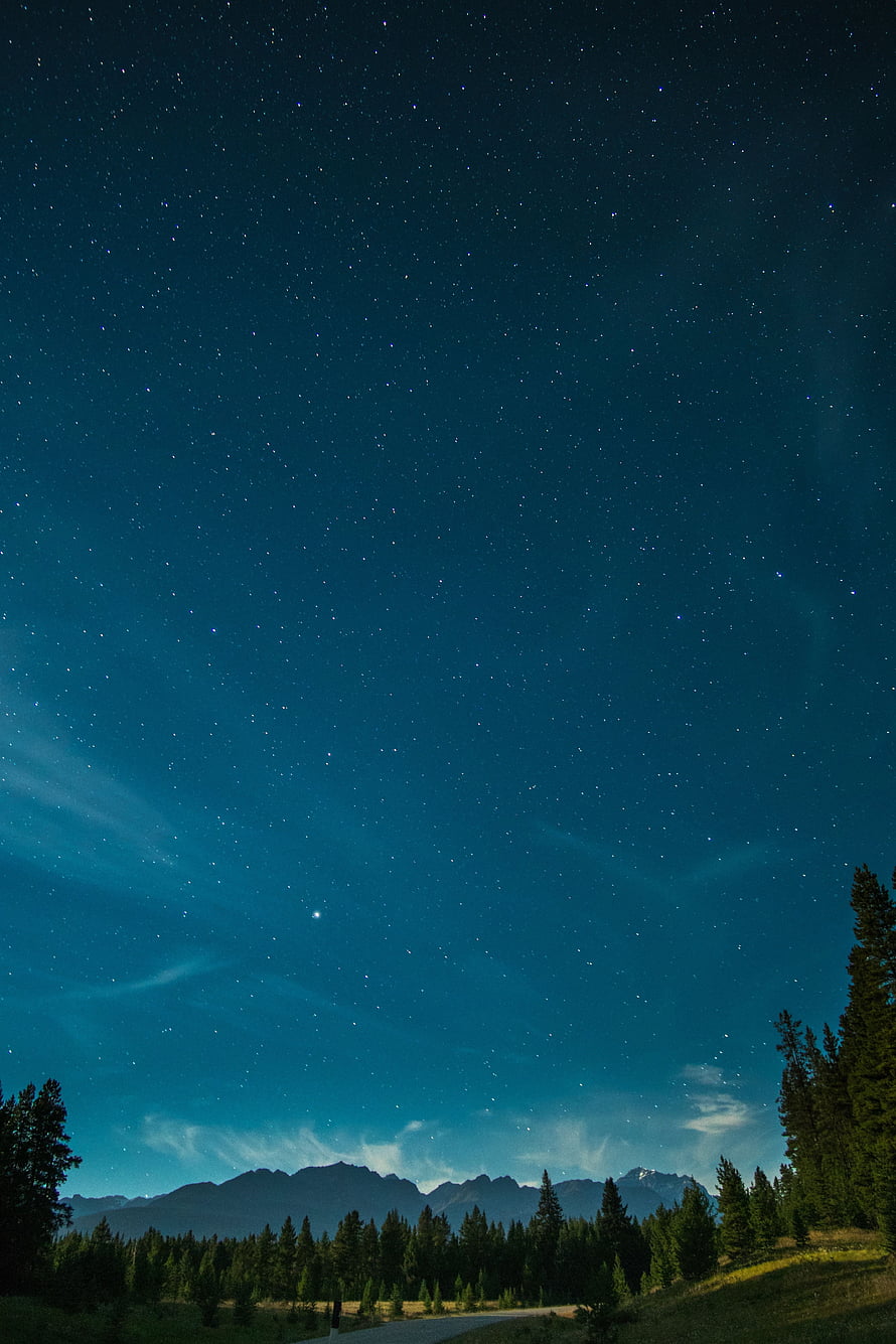 Starry Night Sky Over Mountain Range and Pine Forest Landscape HD phone wallpaper