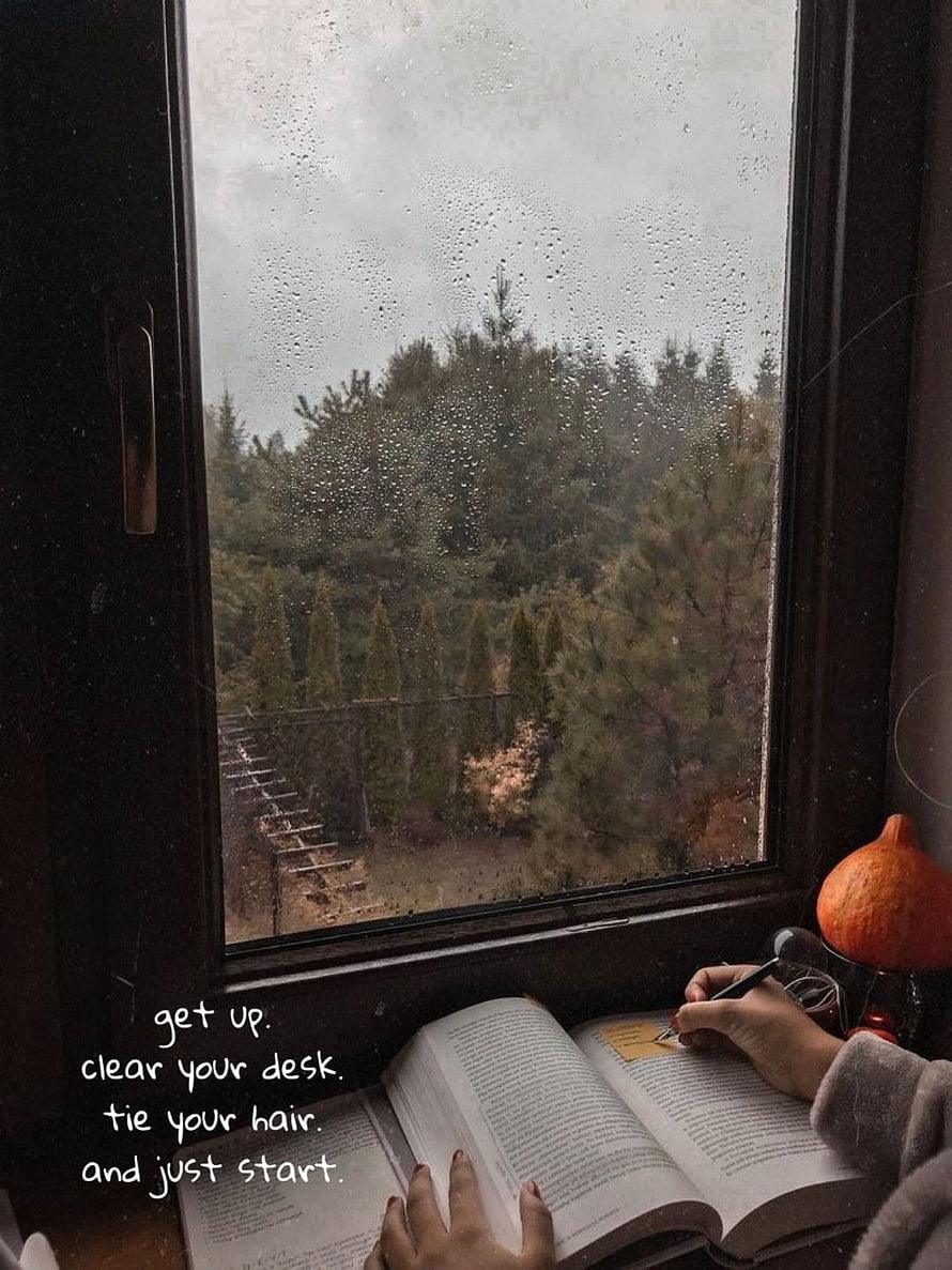 Cozy rainy day reading by the window with open book and forest view HD phone wallpaper