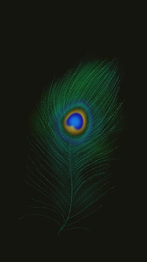 Glowing Peacock Feather With Blue Eye On Dark Background HD phone wallpaper