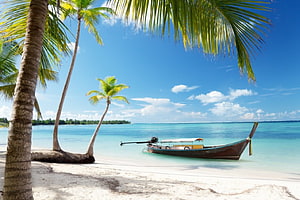 Tropical Beach Scene with Longtail Boat and Palm Trees HD wallpaper