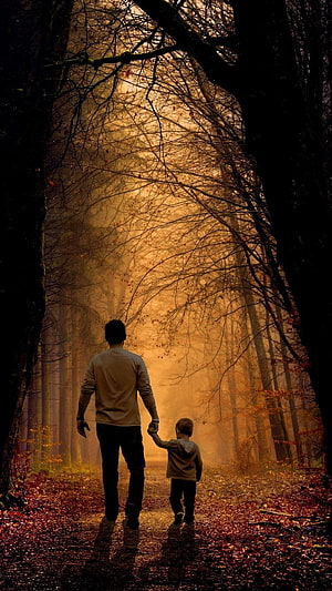 Father and son walking hand in hand through a misty autumn forest at golden hour HD phone wallpaper