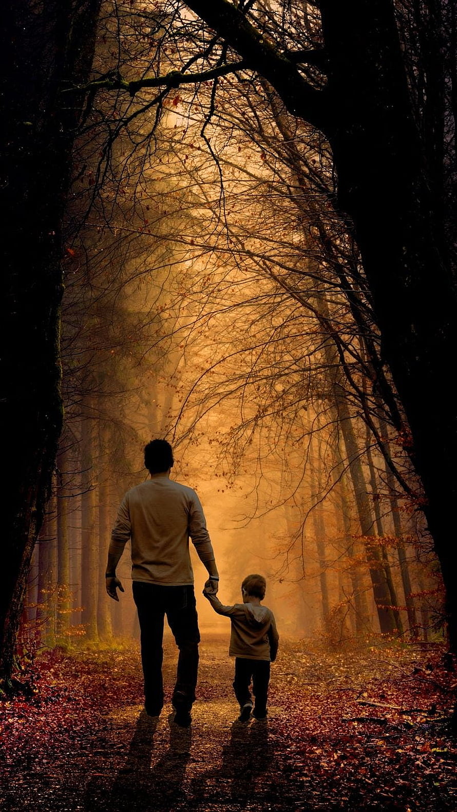 Father and son walking hand in hand through a misty autumn forest at golden hour HD phone wallpaper