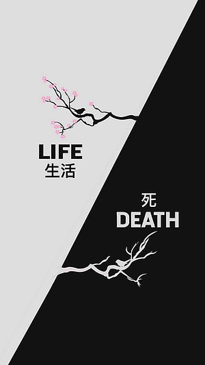 Minimalist Life and Death Concept Art with Cherry Blossom and Bare Branch HD phone wallpaper