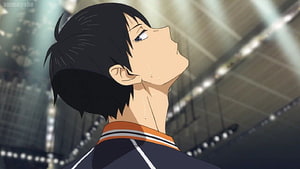 Kageyama Tobio Anime Character Profile in Karasuno Volleyball Uniform HD wallpaper
