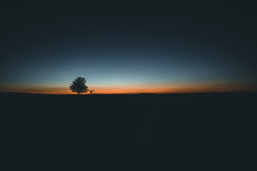 Lone Tree Silhouette Against a Gradient Sunset Sky HD wallpaper