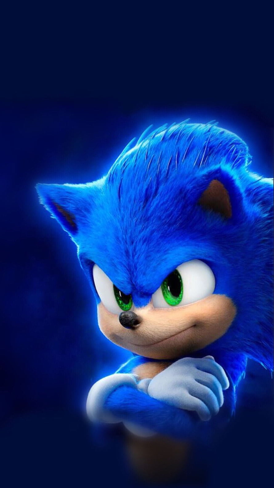 Sonic The Hedgehog Movie Character Portrait With Crossed Arms HD phone wallpaper