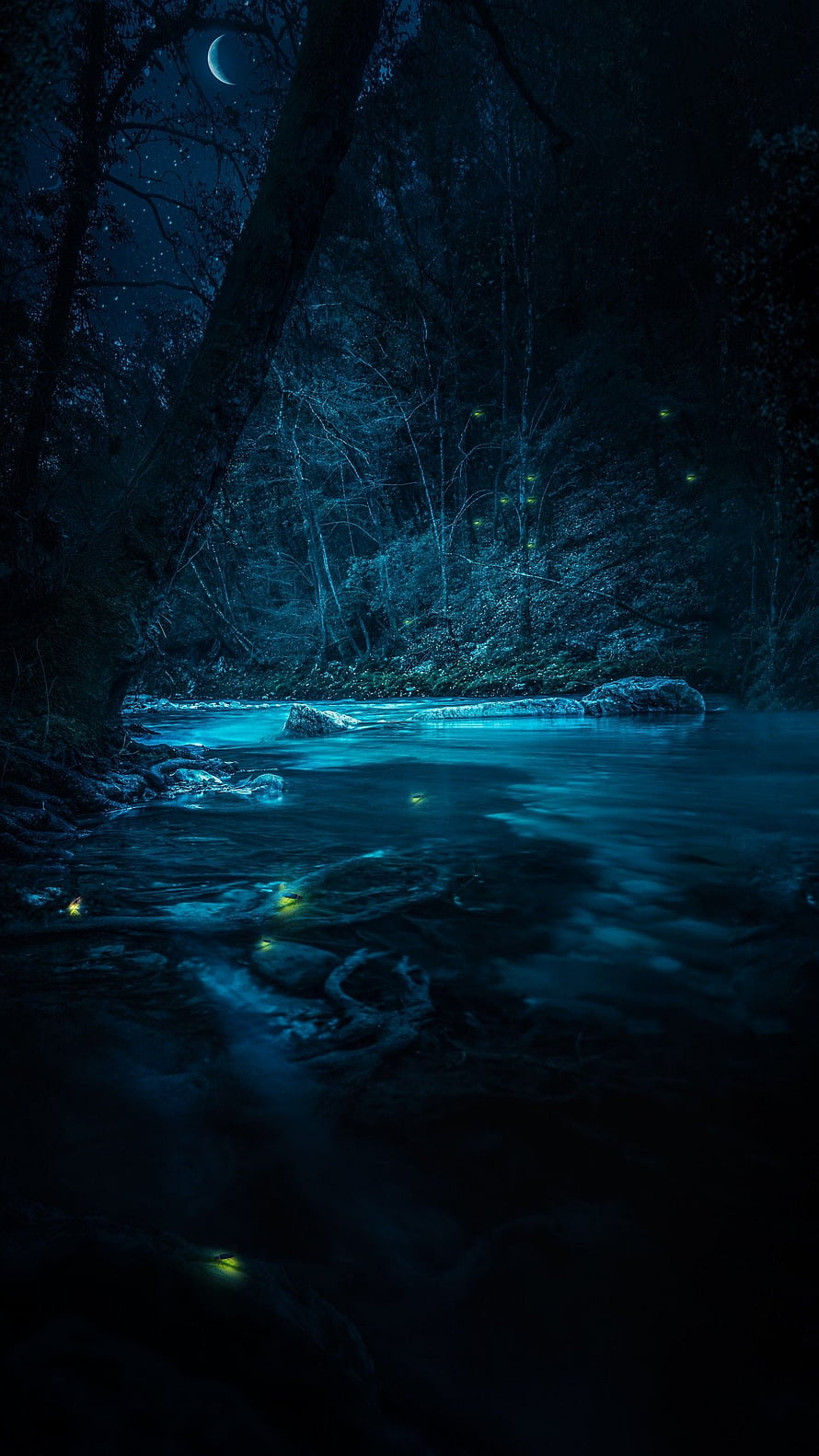 Mystical Night Forest Stream with Glowing Fireflies and Crescent Moon HD phone wallpaper