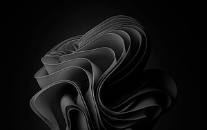 Abstract Black and White 3D Flowing Ribbon Sculpture Wallpaper HD wallpaper