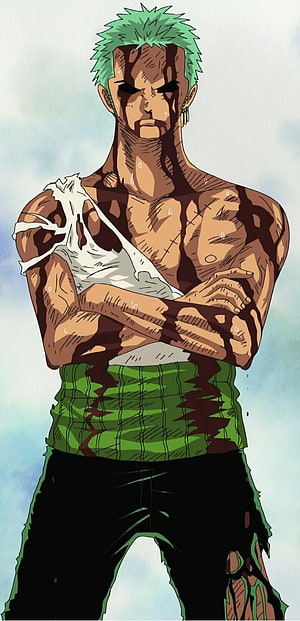 Roronoa Zoro Battle Damaged Anime Character Portrait HD phone wallpaper