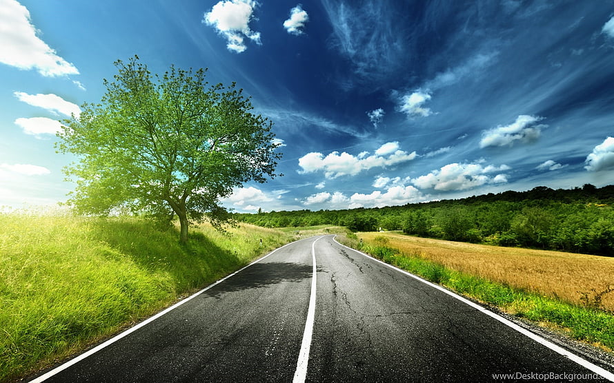 Sunny Country Road With Green Tree And Blue Sky HD wallpaper