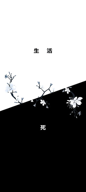 Minimalist Japanese Cherry Blossom Art with Life and Death Contrast HD phone wallpaper