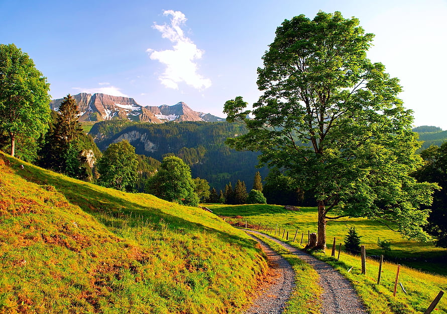 Alpine Meadow Path in Switzerland with Snow-Capped Peaks and Lush Green Hills HD wallpaper