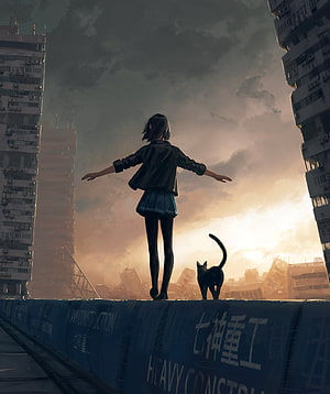 Anime girl with outstretched arms and a black cat on a rooftop overlooking a ruined city at sunset HD phone wallpaper