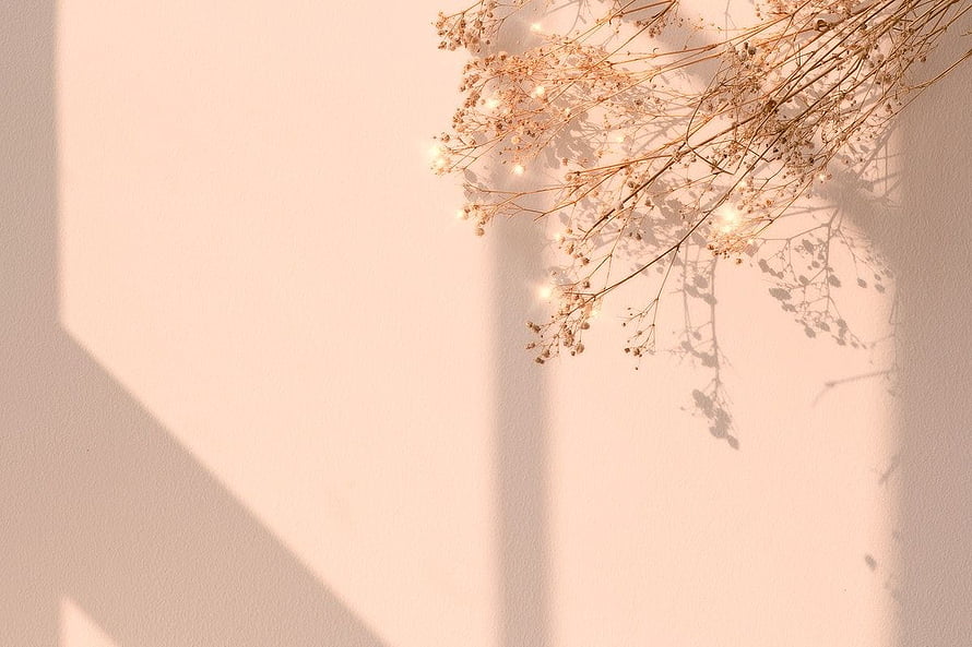 Minimalist Dried Baby's Breath Flowers with Fairy Lights on a Soft Pink Wall HD wallpaper