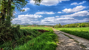 Serene Countryside Landscape With Gravel Path Through Green Fields HD wallpaper