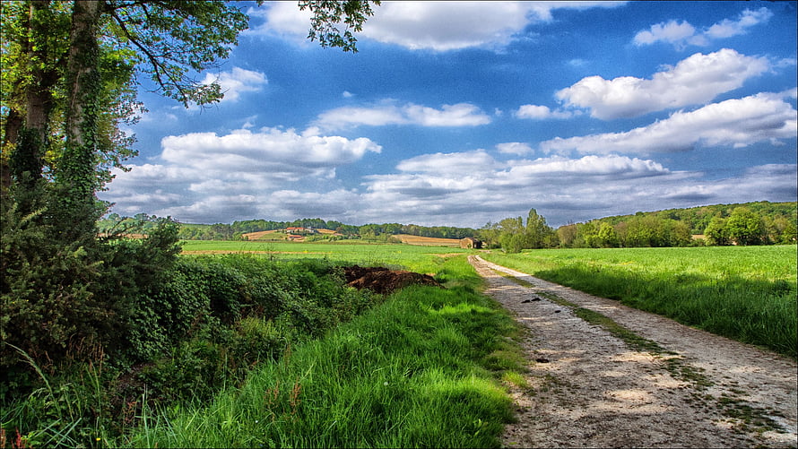Serene Countryside Landscape With Gravel Path Through Green Fields HD wallpaper