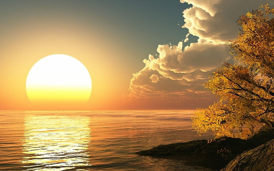 Golden Sunrise Over Calm Ocean With Autumn Tree And Dramatic Clouds HD wallpaper
