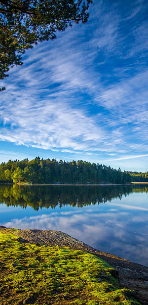 Serene Lake Reflections Under a Bright Blue Sky with Pine Forest and Mossy Shoreline HD phone wallpaper