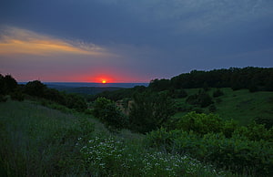 Serene Sunset Over Rolling Hills With Wildflowers And Forest Silhouette HD wallpaper