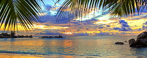 Tropical Beach Sunset Framed by Palm Fronds with Calm Ocean and Rocky Shoreline HD wallpaper