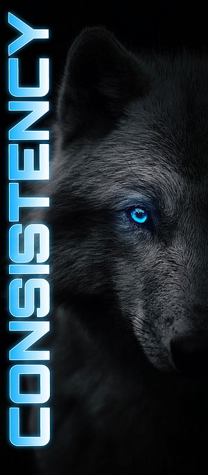 Black Wolf With Glowing Blue Eyes And Neon Consistency Text HD phone wallpaper