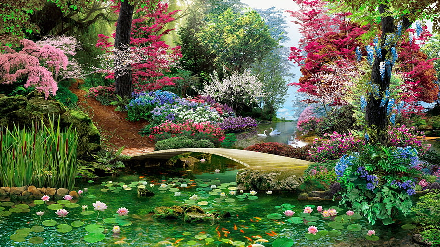 Vibrant Spring Garden Landscape With Arched Bridge, Lotus Pond, and Swans HD wallpaper