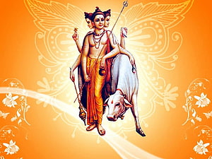 Lord Shiva with Nandi Bull on Orange Floral Background HD wallpaper