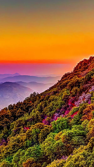 Vibrant Mountain Forest at Sunset with Layered Misty Ridges and Warm Sky HD phone wallpaper
