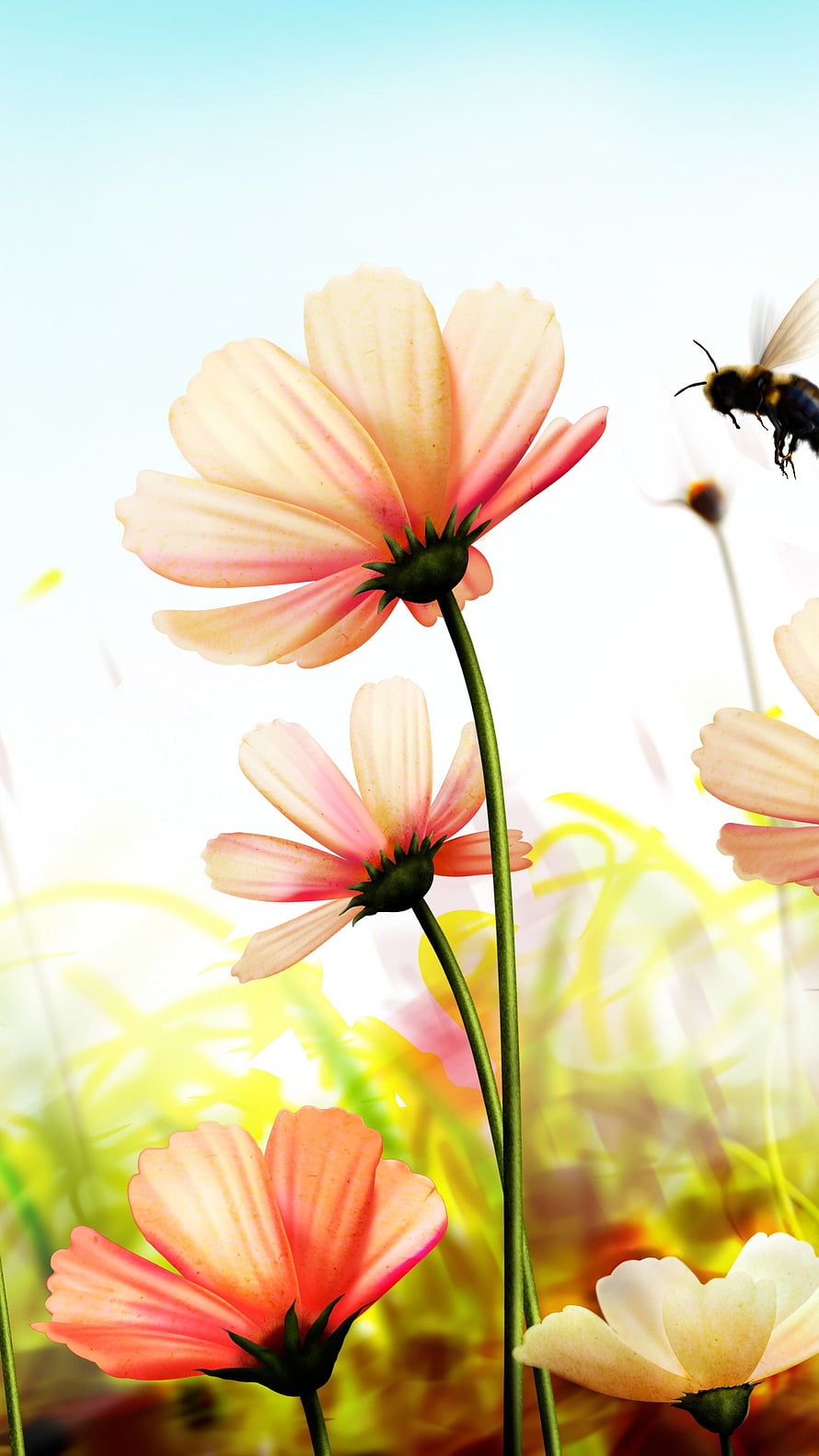 Pastel Cosmos Flowers and Bumblebee in a Bright Spring Meadow HD phone wallpaper