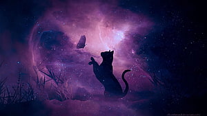 Black Cat Silhouette Reaching for a Butterfly in a Purple Nebula Galaxy HD wallpaper