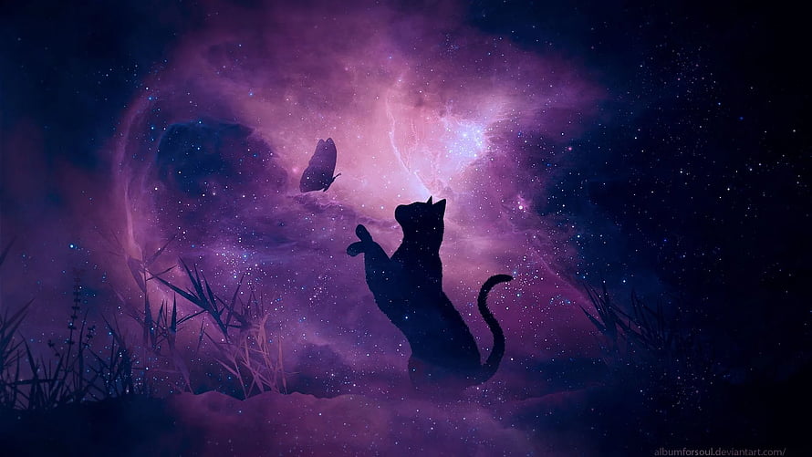 Black Cat Silhouette Reaching for a Butterfly in a Purple Nebula Galaxy HD wallpaper