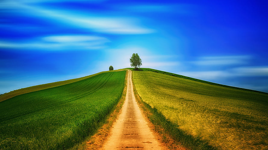 Sunny Countryside Road Leading to a Hilltop Tree Under a Bright Blue Sky HD wallpaper