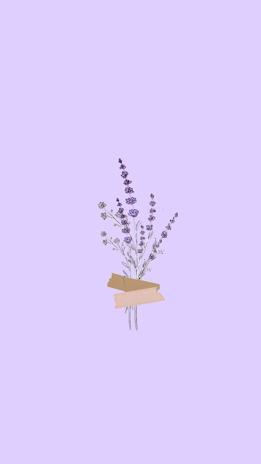 Minimalist Lavender Bouquet with Gold Ribbon on Soft Purple Background HD phone wallpaper