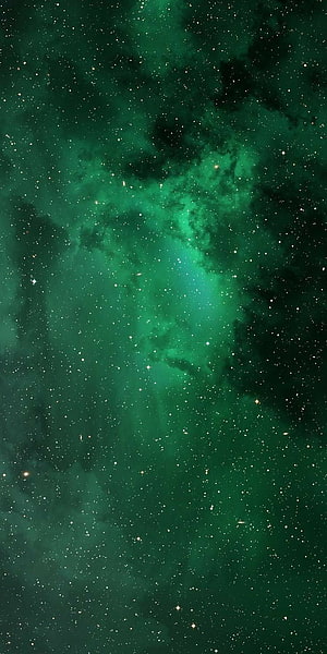 Emerald Green Space Nebula With Scattered Stars And Cosmic Dust Clouds HD phone wallpaper