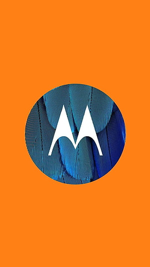 Motorola Logo on Blue Feather Texture with Vibrant Orange Background HD phone wallpaper
