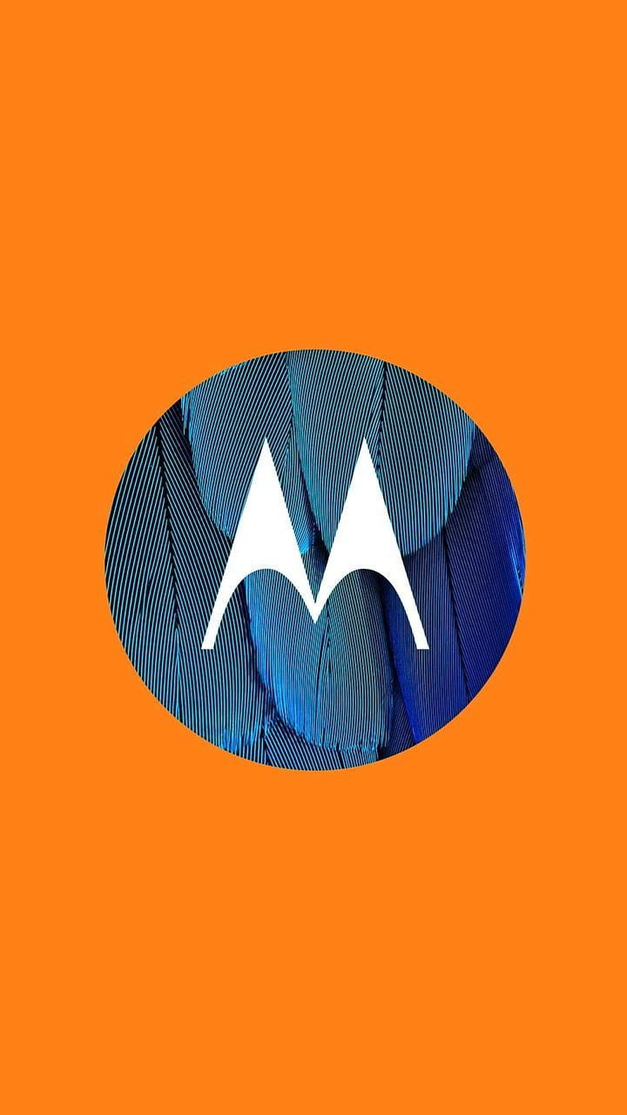 Motorola Logo on Blue Feather Texture with Vibrant Orange Background HD phone wallpaper