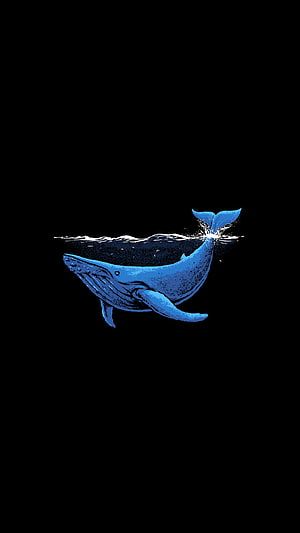 Blue Whale Swimming Underwater Illustration on Black Background HD phone wallpaper