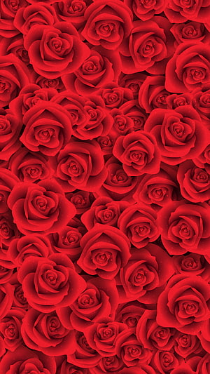 Vibrant Red Rose Pattern Wallpaper With Soft Shadows And Delicate Petal Details HD phone wallpaper