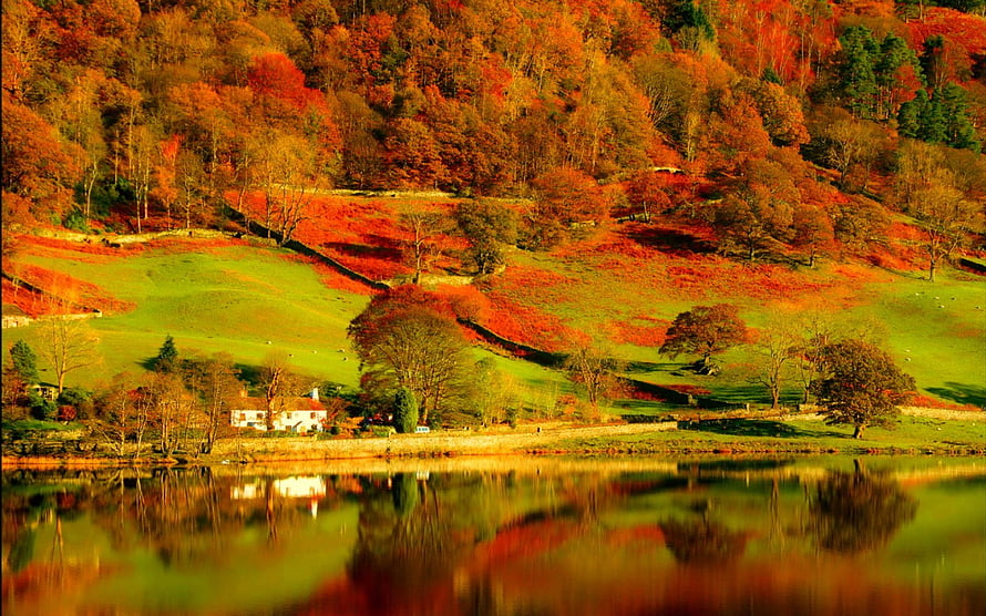 Vibrant Autumn Foliage on Rolling Hills Reflected in a Calm Lake HD wallpaper