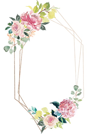 Watercolor Floral Geometric Frame with Pink Roses and Hydrangeas on White Background HD phone wallpaper
