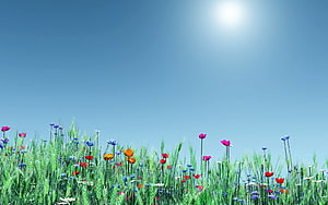 Vibrant 3D Rendered Wildflower Meadow Under Bright Sun HD wallpaper