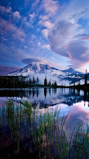 Majestic Mount Rainier Reflected in Lake with Lenticular Clouds and Pink Sky HD phone wallpaper
