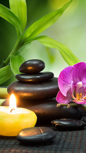 Serene Spa Still Life with Stacked Zen Stones, Purple Orchid, and Lit Candle HD phone wallpaper