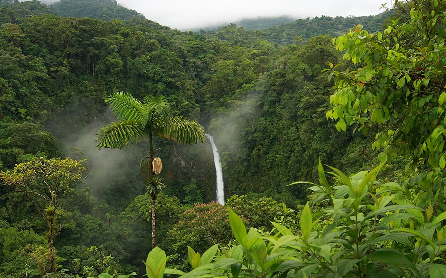 Misty waterfall cascading through lush tropical rainforest jungle landscape HD wallpaper