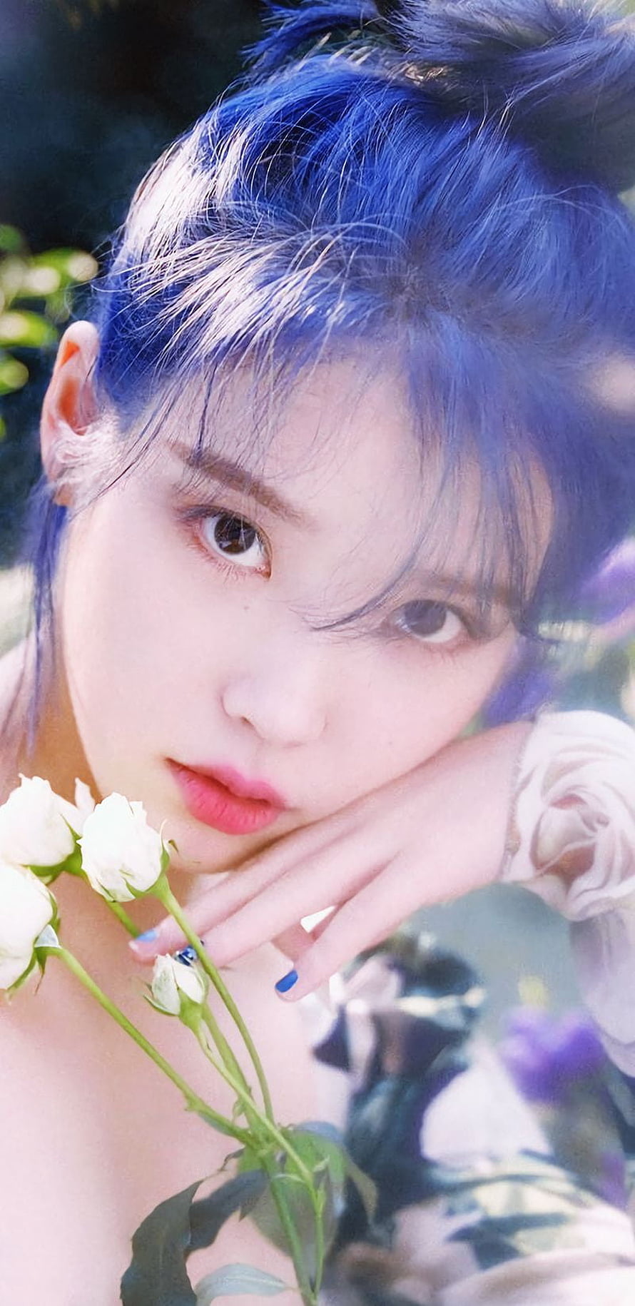 IU Blueming Portrait with White Roses and Blue Hair HD phone wallpaper